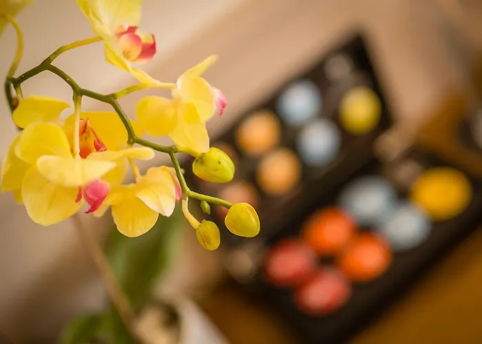 резиденс променаде